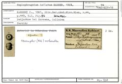 Karteikarte zum Syntyp von Haplophragmium inflatum Karrer, 1862